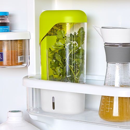 Coriander Containers For Refrigerator, Herb Keeper, Herb Container